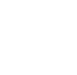 CAA Logo