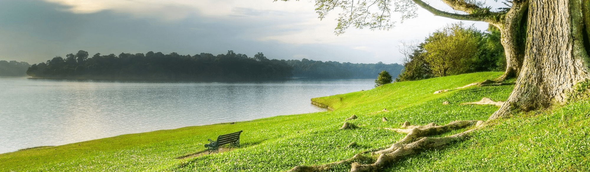 river bank photo