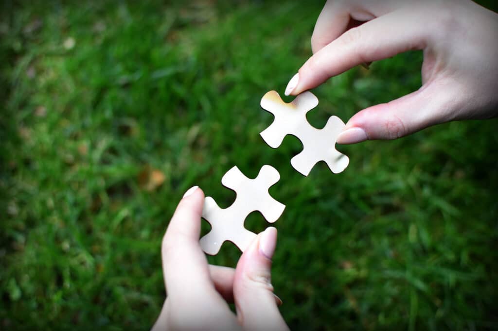 jigsaw partners