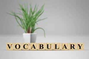 climate emergency vocabulary